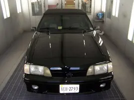 stang2.webp