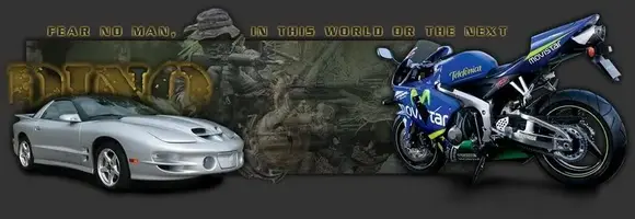 DINO2.webp