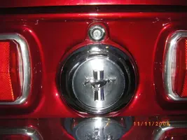 IMGP1516.webp