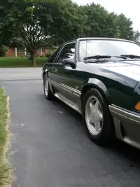 Mustang005.webp