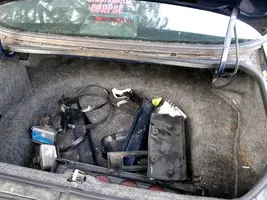 Trunkarea.webp