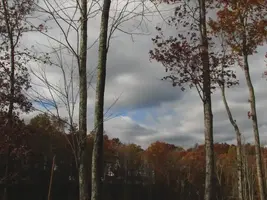 outside2.webp