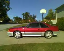 mustang3.webp