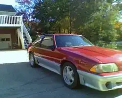 mustang.webp