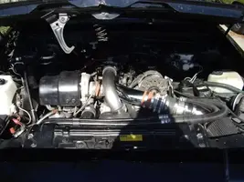 carshow006.webp
