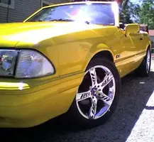 stang.webp
