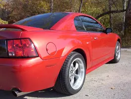 fall%20-%20mustang%20010.webp