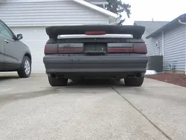 rear shot.webp