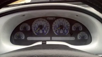 mustang 10.webp
