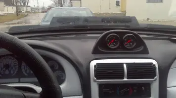 mustang 12.webp
