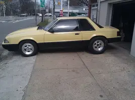 buttercup side.webp