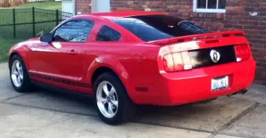 Mustang2.webp