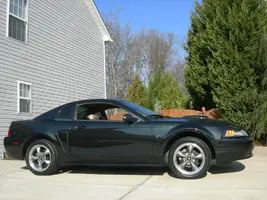 MustangNew.webp