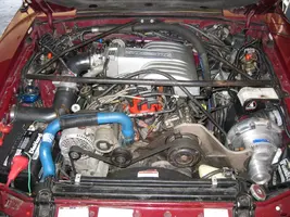 IMG_0814 (small).webp
