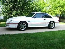 stang 1.webp