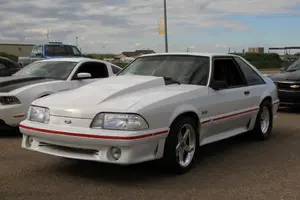 stang 2.webp