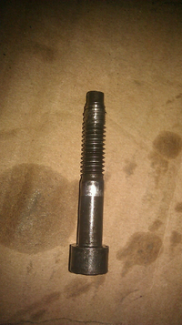 IMAG0183.webp