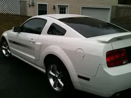 Tinted Mustang.webp