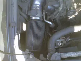 mustang5.webp