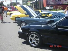 DSC05182.webp