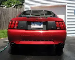 Picture005.webp