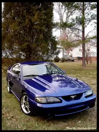 freshwax.webp