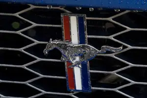 2968853960_33042e0ece_o.webp