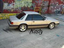 DSCN1688.webp