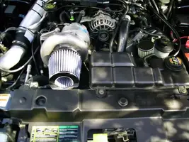 IMGP0750.webp