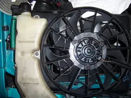 Taurus_fan_with_overflow.webp