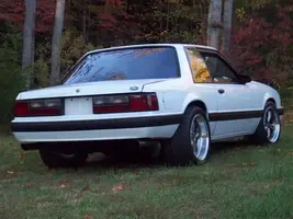 fallpictures014.webp