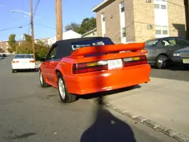 DSC00134.webp