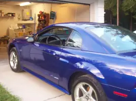 stang1.webp