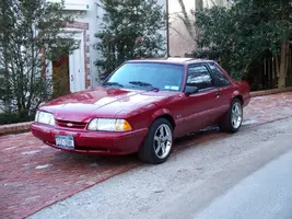 100_0095.webp