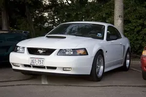 mtshoot1jpg-8.webp