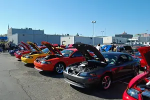 Picture003-1.webp