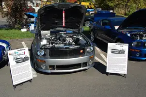 Picture017.webp