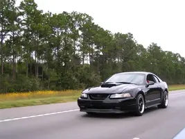 cruisin08014rk8.webp