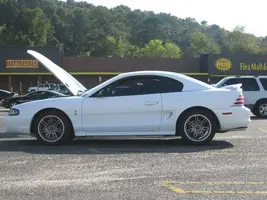 carshow1.webp