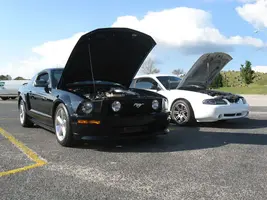 carshow5.webp