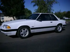 leftside.webp