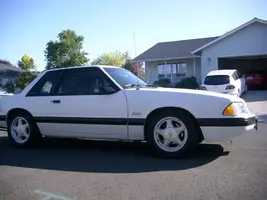 rightside.webp