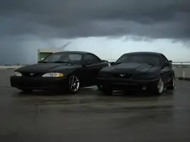 stangs021.webp