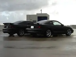 stangs024.webp