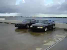 stangs033.webp