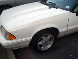 PA090034d.webp