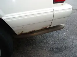 PA090037g.webp