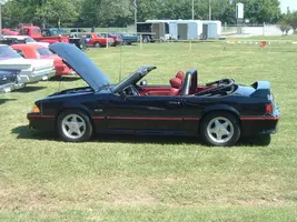 DSCF1214.webp