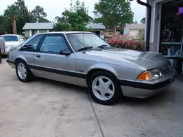 Mustang2.webp