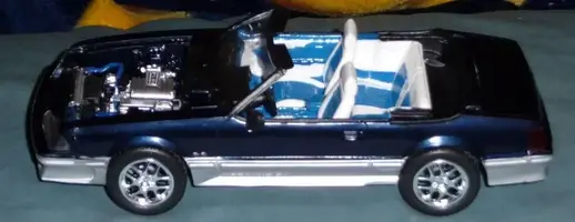 P1000611.webp